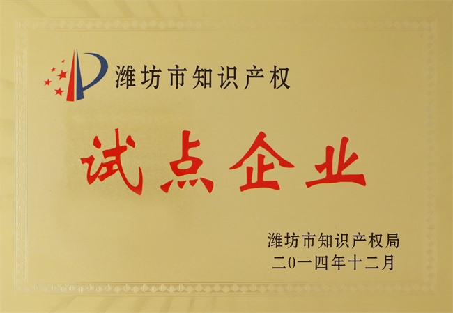 试点企业